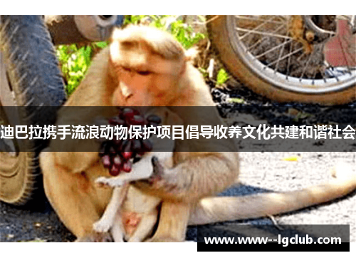 迪巴拉携手流浪动物保护项目倡导收养文化共建和谐社会