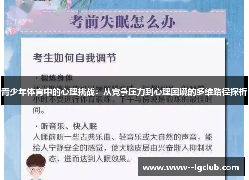 青少年体育中的心理挑战：从竞争压力到心理困境的多维路径探析